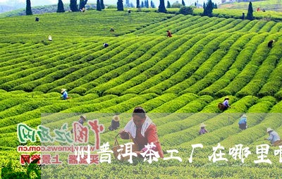 州普洱茶工厂在哪里啊/2023110738161