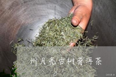 州月亮古树普洱茶/2023101776270