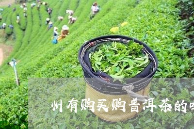 州有购买购普洱茶的吗/2023062084957