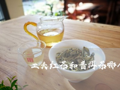 工夫红茶和普洱茶哪个好喝/2023110231784