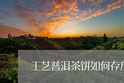 工艺普洱茶饼如何存放/2023100519381