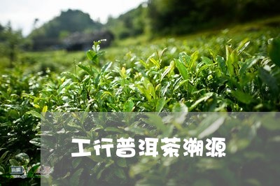 工行普洱茶溯源/2023071016258