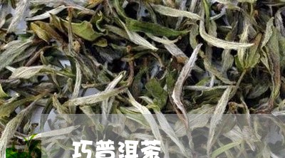 巧普洱茶/2023090196951