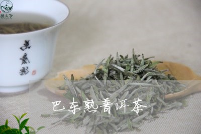 巴东熟普洱茶/2023042630167