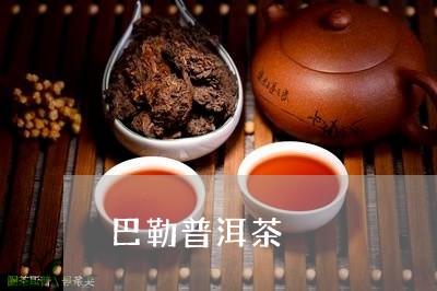 巴勒普洱茶/2023090693517