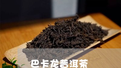 巴卡龙普洱茶/2023042897460