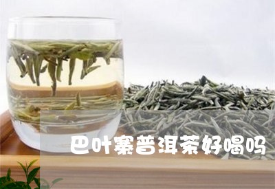 巴叶寨普洱茶好喝吗/2023110332793