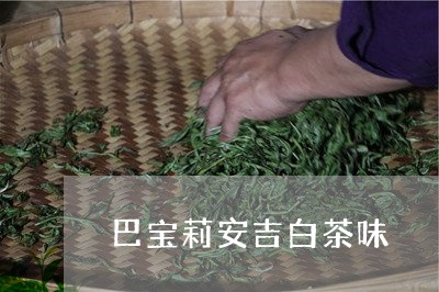 巴宝莉安吉白茶味/2023062052838