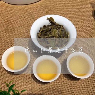 巴山白茶是什么茶/2023062096280