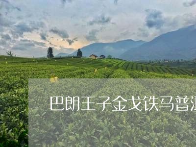 巴朗王子金戈铁马普洱茶/2023103170514