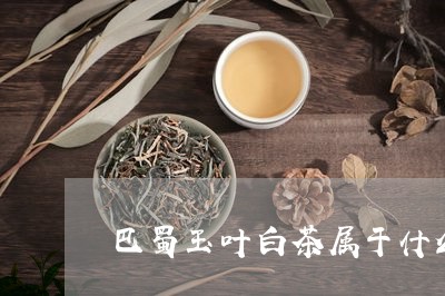 巴蜀玉叶白茶属于什么茶/2023102532717