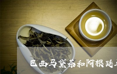 巴西马黛茶和阿根廷马黛茶的区别/2023060232937