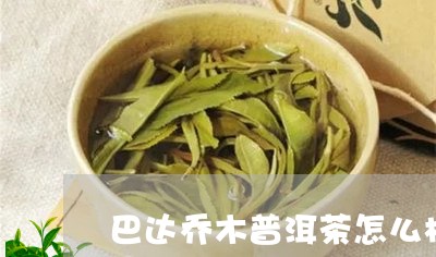 巴达乔木普洱茶怎么样/2023092888393