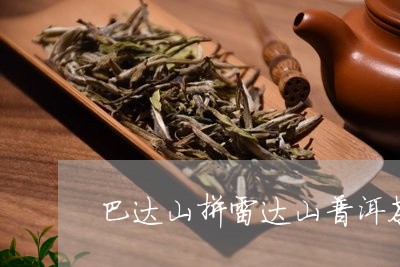 巴达山拼雷达山普洱茶/2023072237470