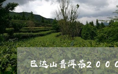 巴达山普洱茶2000克/2023110324915