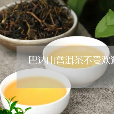 巴达山普洱茶不受欢迎/2023072336040