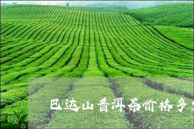 巴达山普洱茶价格多少/2023082926370