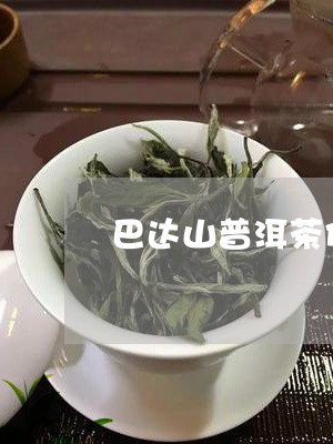 巴达山普洱茶价格表和图片/2023121608615