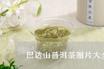 巴达山普洱茶图片大全/2023062250726