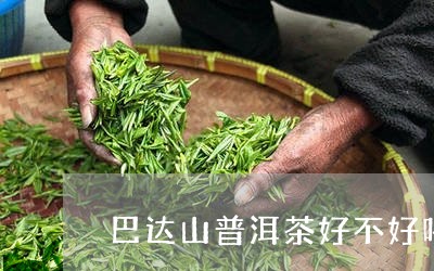 巴达山普洱茶好不好喝/2023121693837