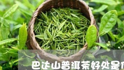 巴达山普洱茶好处是什么/2023120706272