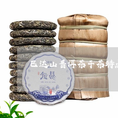 巴达山普洱茶干茶特点/2023073108373