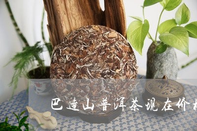 巴达山普洱茶现在价格/2023120635271