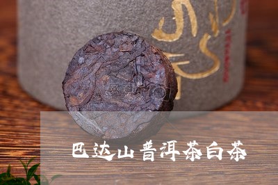 巴达山普洱茶白茶/2023120394049