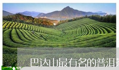 巴达山最有名的普洱茶/2023092795469