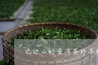 巴达山的普洱茶好不好泡/2023110565147