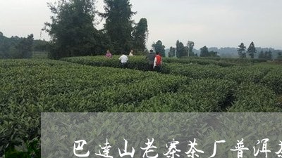 巴达山老寨茶厂普洱茶/2023072474826