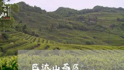 巴达山茶区/2023090258272