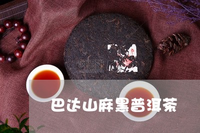 巴达山麻黑普洱茶/2023101610693