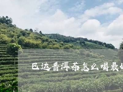 巴达普洱茶怎么喝最好听/2023101792825