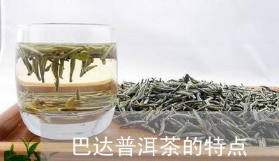 巴达普洱茶的特点/2023110988472