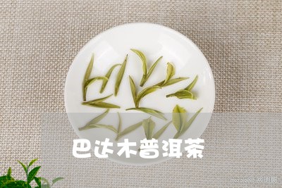 巴达木普洱茶/2023090687158