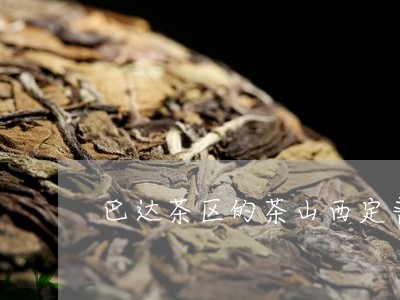 巴达茶区的茶山西定普洱茶特点/2023053092716