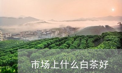 市场上什么白茶好/2023062031703