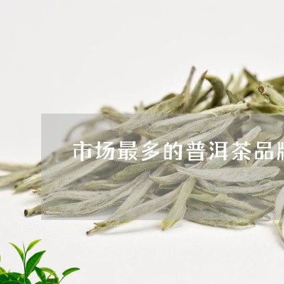 市场最多的普洱茶品牌专卖/2023082903947