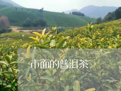 市面的普洱茶/2023042872964