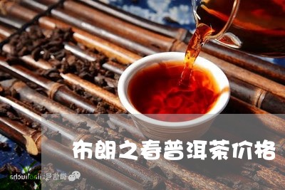 布朗之春普洱茶价格/2023091492826