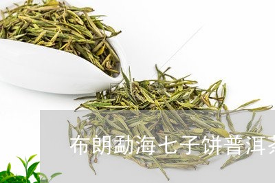 布朗勐海七子饼普洱茶/2023062435160