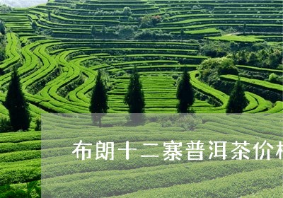 布朗十二寨普洱茶价格/2023100886149