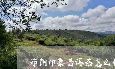 布朗印象普洱茶怎么样/2023062110494