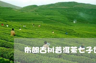 布朗古树普洱茶七子饼/2023120795169