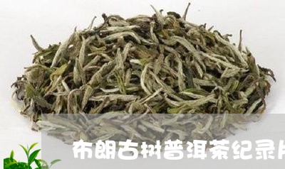 布朗古树普洱茶纪录片/2023062165030