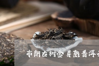 布朗古树金芽熟普洱茶/2023072373936