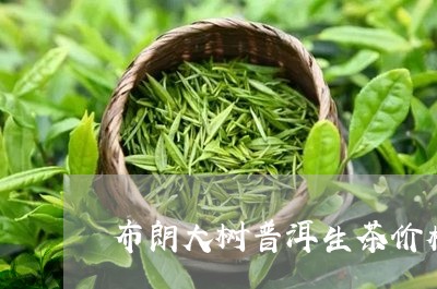 布朗大树普洱生茶价格/2023092483736