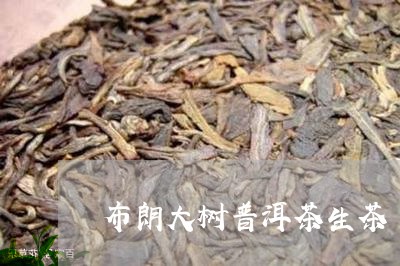 布朗大树普洱茶生茶/2023091596951