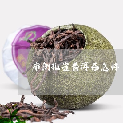 布朗孔雀普洱茶怎样/2023091437372